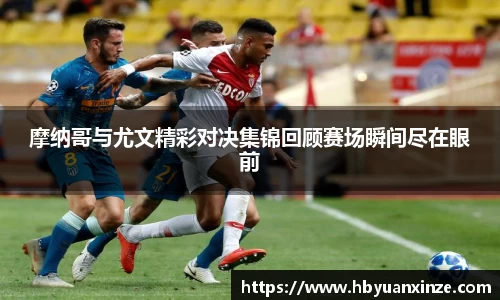 365(vip)英国上市官网